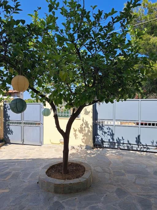 דירות Hestia Airport House - Artemis מראה חיצוני תמונה